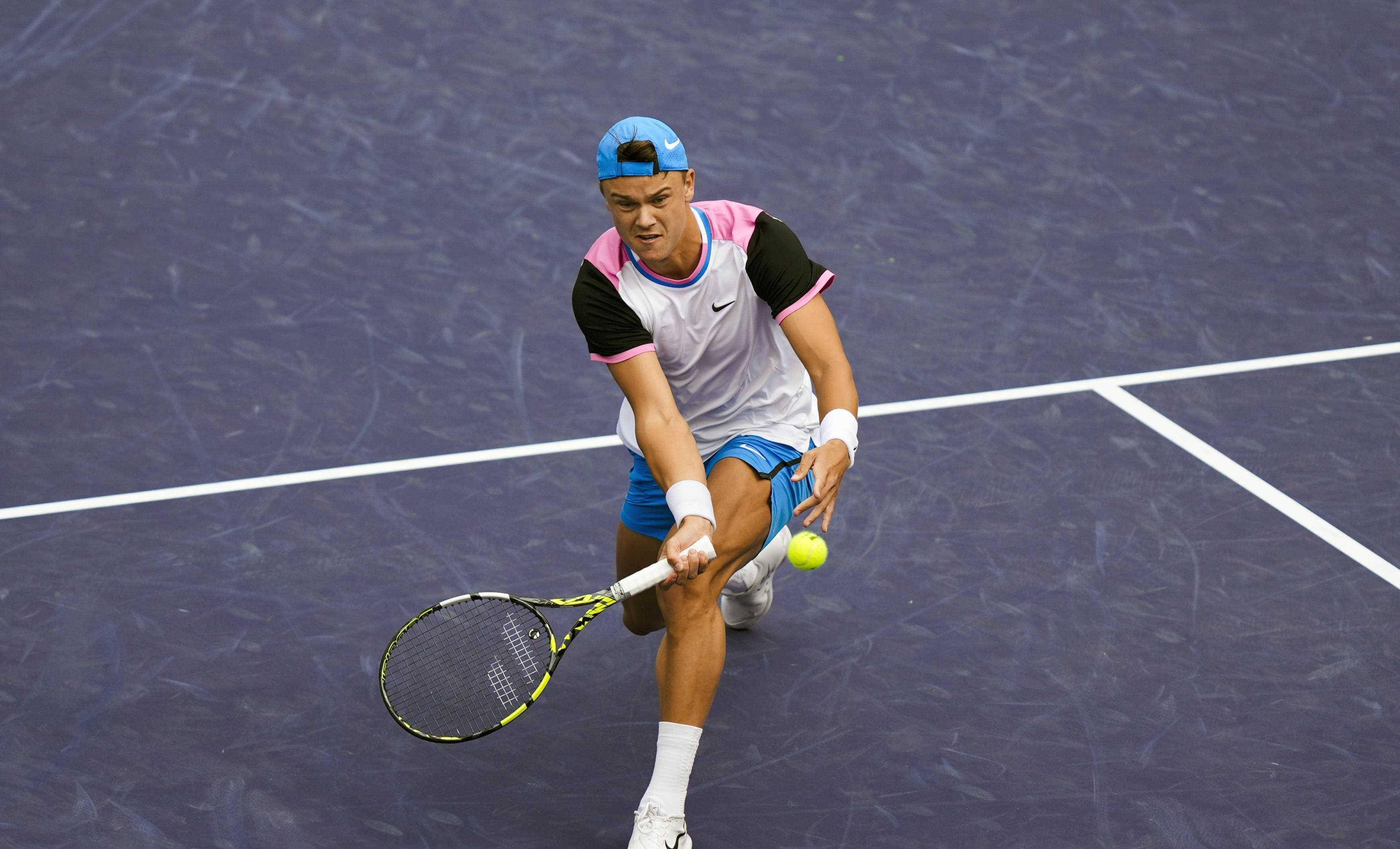 优美的生态 优美的生态