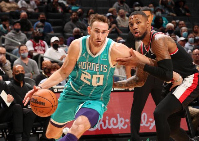 森林狼在本 森林狼在本